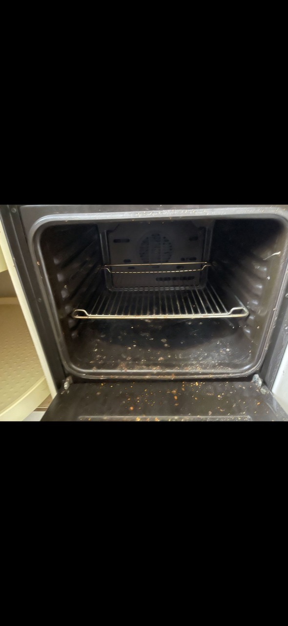 Vorher: Backofen · Innenreinigung