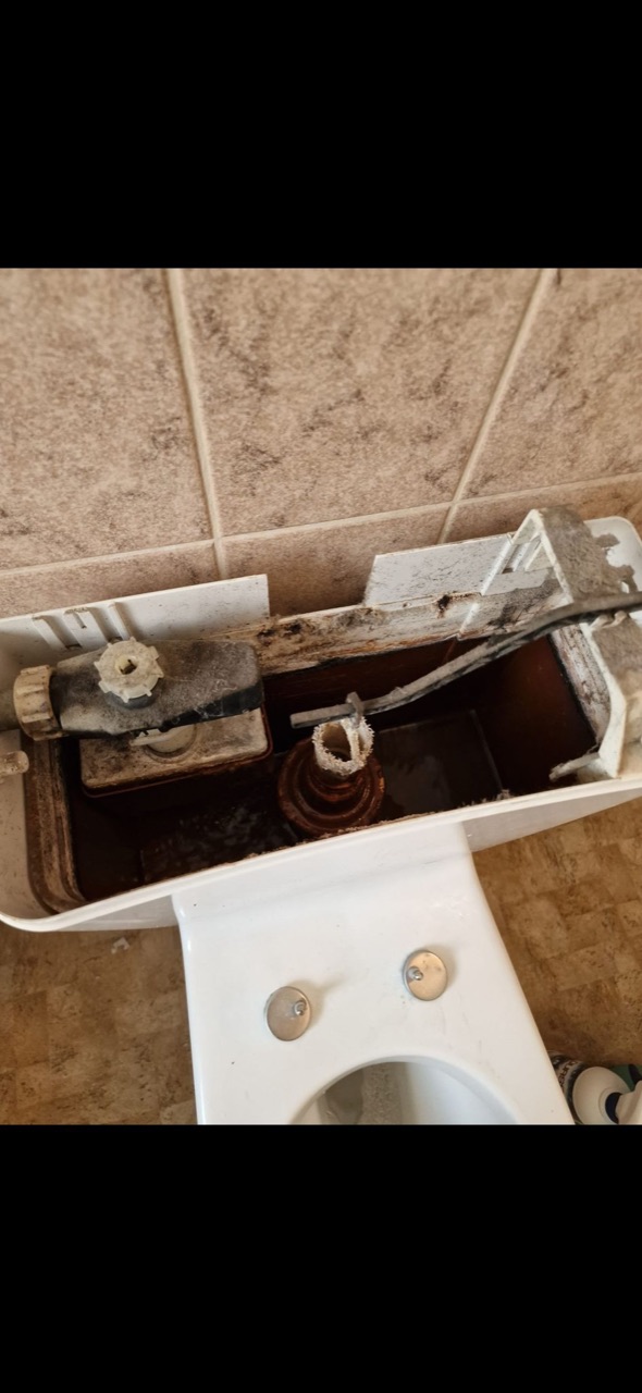 Vorher: WC-Spülkasten · Entkalkt